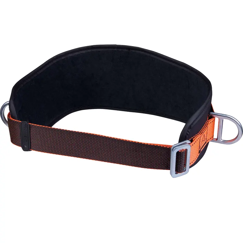 EX120-1 POSITIONING BELT - 2 ANCHORAGE POINTS - Image 1