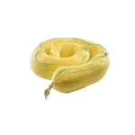 Chemical Spill Absorbent Boom 5”X10’ / 12.7X300 cm